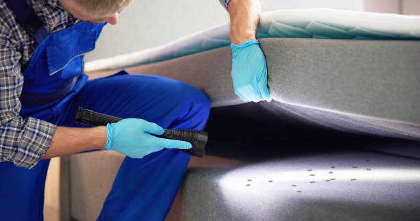 Best Bed Bug Extermination  in Gosport, IN
