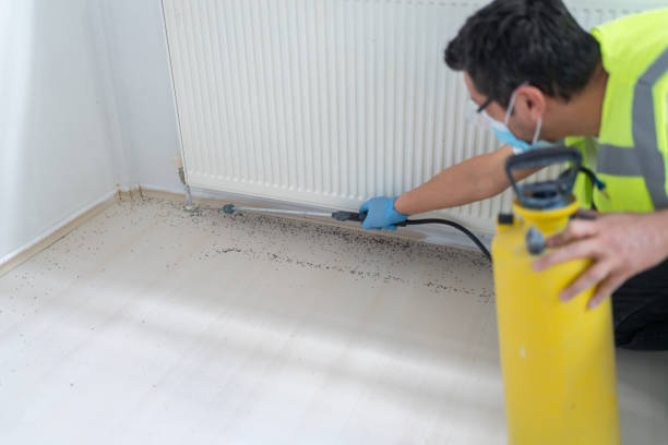 Best Affordable Pest Control Services  in Gosport, IN